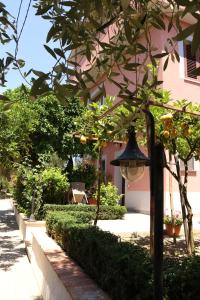 A garden outside Villa Rosada