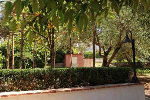 A garden outside Villa Rosada