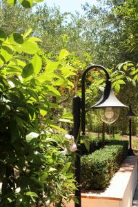 A garden outside Villa Rosada