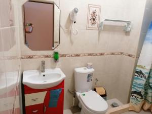 ein Badezimmer mit einem Waschbecken, einem WC und einem Spiegel in der Unterkunft Отель Адель in Dolzhanskaya