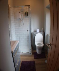 a bathroom with a shower and a toilet and a sink at Immaculate 1 Bed Apartment in Pitlochry Scotland in Pitlochry