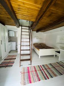 a loft bed with a ladder in a bedroom at Casa De Sub Deal in Densuş