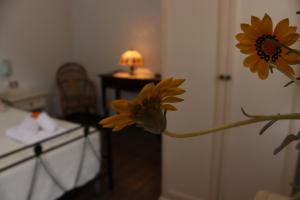 A bed or beds in a room at Villa Rosada
