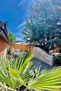 un jardin avec des plantes vertes devant un bâtiment dans l'établissement Ferienwohnung Fam.Stuchlik, à Winkl