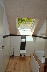 a bathroom with a toilet and a sink and a window at Wellness Apartments Sophienhöhe AM POOL in Mechernich