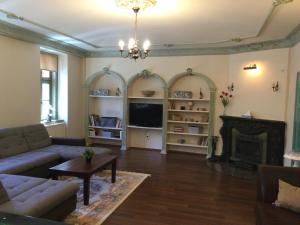 uma sala de estar com um sofá e uma lareira em Jókai Apartment em Sopron