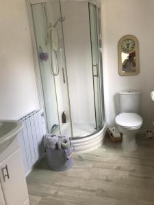 uma casa de banho com um chuveiro e um WC. em Helens Cottage Otford Kent em Otford