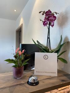 Foto sihtkohas Rust asuva majutusasutuse Hotel Kosel garni UG galeriist