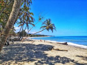 a sandy beach with palm trees and the ocean at HOSTAL Estrellas del tayrona playa in Santa Marta