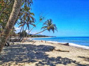 a sandy beach with palm trees and the ocean at HOSTAL Estrellas del tayrona playa mendihuaca in Santa Marta