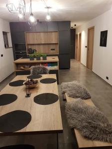 Kuchyň nebo kuchyňský kout v ubytování Apartmán Pod Hochfichtem