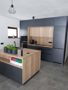 a kitchen with blue cabinets and a counter with plants at Apartmán Pod Hochfichtem in Nová Pec