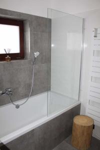 Koupelna v ubytování Apartmán Pod Hochfichtem