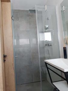 Koupelna v ubytování Apartmán Pod Hochfichtem + 24 fotografií