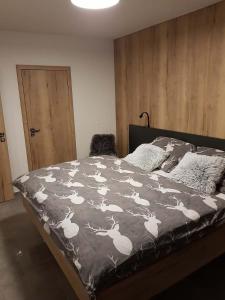 Postel nebo postele na pokoji v ubytování Apartmán Pod Hochfichtem