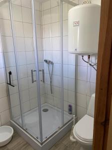 a shower with a glass door next to a toilet at Domek wakacyjny in Charzykowy