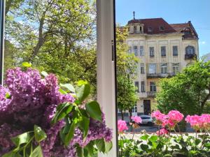 Gallery image of Двоповерхові апартаменти Мілена у центрі з балконом та паркінгом in Lviv