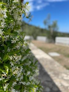 Apgyvendinimo įstaigos Shanti aukšto planas