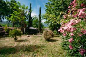 O grădină în afara Chateau Eniseli