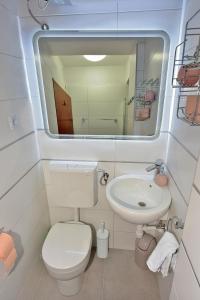 een kleine badkamer met een toilet en een wastafel bij Apartment Gerber Krk in Krk