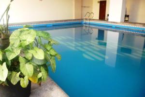 a swimming pool with a potted plant next to it at Gran Hotel Presidente in Salta
