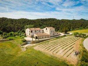 an aerial view of a building and a field at Can Alemany in Santa Margarita de Mombúy