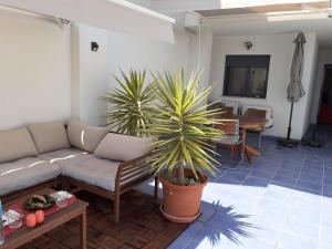 La Envia Golf II with an amazing huge furnished terrace, free ...
