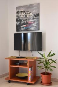 a tv on a wooden tv stand with a plant at Apartmani Andrea in Čižići