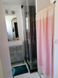 y baño con ducha y lavamanos. en Bel appartement privatif en Perpiñán