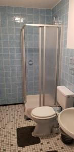 een badkamer met een douche, een toilet en een wastafel bij Feichten-Hof Zaiser Zimmer in Schleching