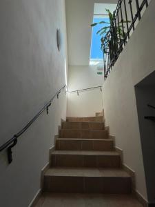 Galeriebild der Unterkunft Penzion U Bohuša in Lednice + 57 Fotos