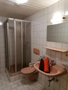 een badkamer met een douche, een wastafel en een toilet bij Haus Bergwind in Sankt Leonhard im Pitztal