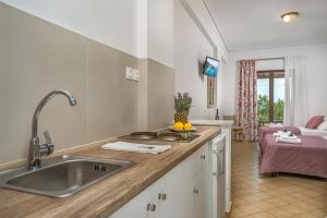 uma cozinha com um lavatório e uma sala de estar em Villa Kapnisi em Vasilikos
