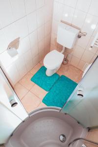 a bathroom with a toilet with a green mat at GUITAR - Camere de Inchiriat in Sibiu