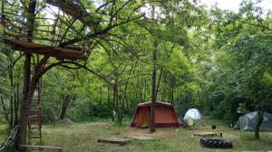a group of tents in a field with trees at Different Belgrade camping in Vrčin