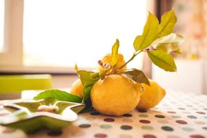 a group of oranges with leaves on a table at il Magàn - Cinque Terre in Corniglia