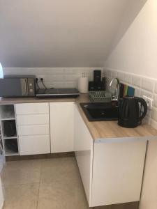 Kuchyňa alebo kuchynka v ubytovaní Apartament przy Parku Zdrojowym