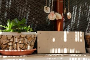 Fotografie z fotogalerie ubytování Apartman Miranda v destinaci Vela Luka