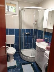 łazienka z prysznicem, toaletą i umywalką w obiekcie Apartment Jelena w Kotorze