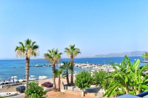 uma vista para uma praia com palmeiras e para o oceano em Anagennisi Hotel em Skala