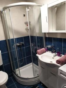 W łazience znajduje się prysznic, umywalka i toaleta. w obiekcie Apartment Jelena w Kotorze +23 zdjęcia