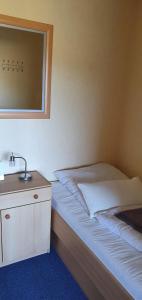 a small bedroom with a bed and a mirror at Ferienwohnung Harz in Altenau
