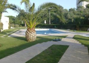 a palm tree sitting next to a swimming pool at Casa da Praia Apartment - Alvor Beach in Alvor