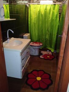 ein Badezimmer mit einem Waschbecken und einem WC mit einem grünen Duschvorhang in der Unterkunft Chácara Cantinho do Ipê in Marechal Floriano