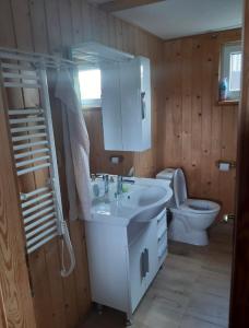 ein Badezimmer mit einem weißen Waschbecken und einem WC in der Unterkunft Chata u Zámku in Stráž nad Nežárkou