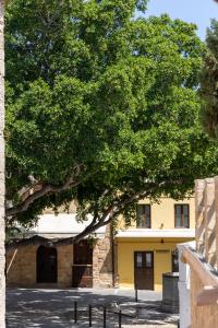 a large tree in front of a yellow building at Naria Medieval House in Rhodes Town