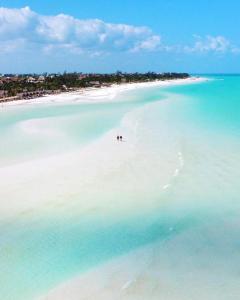 Vue panoramique sur l'établissement Hotel MAYARI Holbox