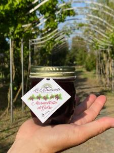 Agriturismo Le Biricoccole tanúsítványa, márkajelzése vagy díja