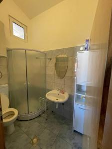 La salle de bains est pourvue d'une douche, d'un lavabo et de toilettes. dans l'établissement Apartment Zdenka, à Vir