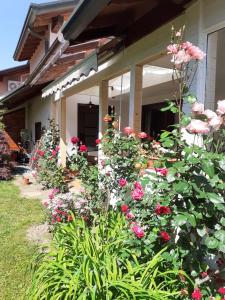 A garden outside B&B Villa Bucceri
